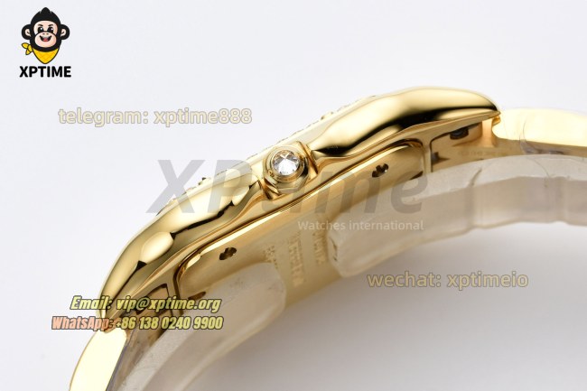 Panthere Secrete De Ladies 27mm BVF White/Roman on YG/YG Bracelet Quartz Panthere Secrete De Ladies 27mm BVF White/Roman on YG/YG Bracelet Quartz