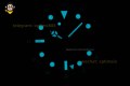 GMT Master II 116713 GRNR 40mm Clean Black/Dot on Jub YG/SS Bracelet DD3285 GMT Master II 116713 GRNR 40mm Clean Black/Dot on Jub YG/SS Bracelet DD3285