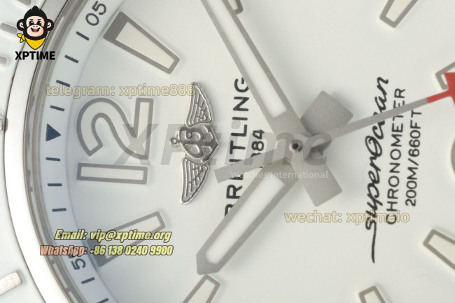 Superocean 44mm TF White/Stick & Numeral on SS/RU Bracelet A2824 Superocean 44mm TF White/Stick & Numeral on SS/RU Bracelet A2824