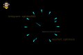 Aqua Terra 150M 41mm VSF Turquoise Blue/Stick on SS/SS Bracelet A8900 Aqua Terra 150M 41mm VSF Turquoise Blue/Stick on SS/SS Bracelet A8900