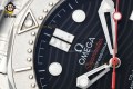 Seamaster 300M 42mm VSF Black/Dot on SS/SS Bracelet A8806