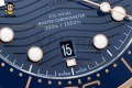 Seamaster 300M 42mm VSF Blue/Dot on RG/SS Bracelet A8800 Seamaster 300M 42mm VSF Blue/Dot on RG/SS Bracelet A8800